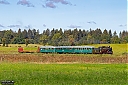 IMG_6556-1.jpg