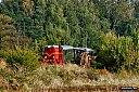 IMG_6638.jpg