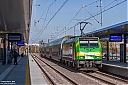 Nazwa pliku=IMG_6784-1.jpg
Wielkość pliku=994KiB
Rozmiar=1200x800
Data dodania= 21, Październik 2018 IMG_6784-1.jpg