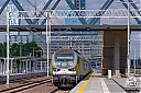 IMG_8533-1.jpg