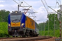 IMG_8561-1.jpg