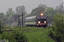 IMG_8670-01~0.jpg