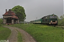 IMG_8684-01~0.jpg