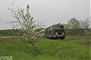 IMG_8689-01~0.jpg