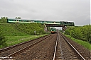 IMG_8705-01~0.jpg