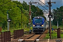 IMG_8801.jpg