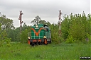 IMG_8803-1.jpg