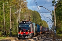 IMG_8939-1.jpg