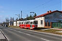 Nazwa pliku=IMG_9186-1.jpg
Wielkość pliku=957KiB
Rozmiar=1200x800
Data dodania= 02, Marzec 2019 IMG_9186-1.jpg