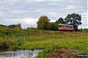 IMG_9340-1.jpg