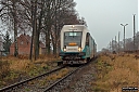 IMG_9617-1.jpg