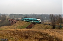 IMG_9652-1.jpg
