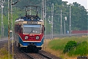 P1100003-1.jpg