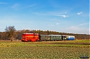 IMG_0187-y.jpg