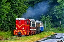 IMG_0774-1.jpg
