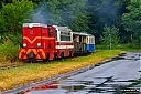 IMG_0794-1.jpg