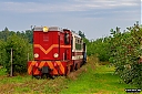 IMG_0797-1~0.jpg