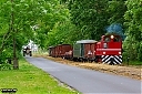 IMG_1663-1.jpg