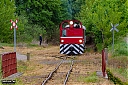Nazwa pliku=IMG_1725-1.jpg
Wielkość pliku=1056KiB
Rozmiar=1200x800
Data dodania= 30, Maj 2022 IMG_1725-1.jpg