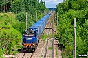 IMG_2466-1.jpg