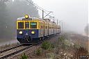IMG_3515-1.jpg