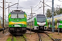 IMG_3519-1.jpg