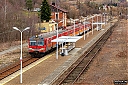 IMG_3774-1.jpg