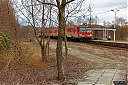 IMG_3779-1.jpg