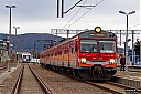 IMG_3842-1.jpg