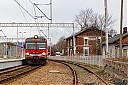 IMG_3906-1.jpg