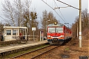 IMG_3918-1.jpg