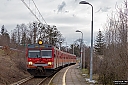 IMG_3937-1.jpg