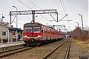 IMG_3978-1.jpg