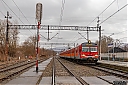 IMG_4032-1.jpg