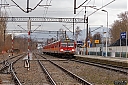 IMG_4043-1.jpg