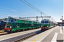 IMG_5665-1.jpg
