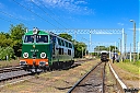 IMG_5687-1.jpg