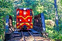 IMG_5840_1.jpg