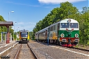 IMG_5854-1.jpg