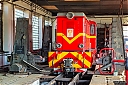 IMG_6005_1.jpg