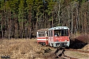 IMG_8497-1.jpg