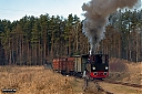 IMG_8538-1.jpg