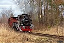 IMG_8710-1.jpg