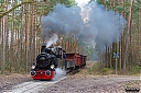 IMG_8763-1.jpg