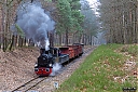 IMG_8815-1.jpg