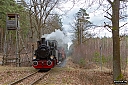 IMG_8864-1.jpg