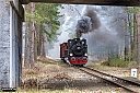 IMG_8884-1.jpg