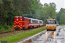 IMG_N56.jpg