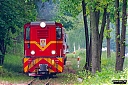 IMG_N72.jpg